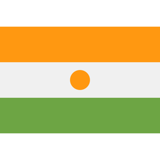 Niger flag