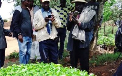 Construction of macadamia and coffee demonstration nursery shed – Zimbabwe