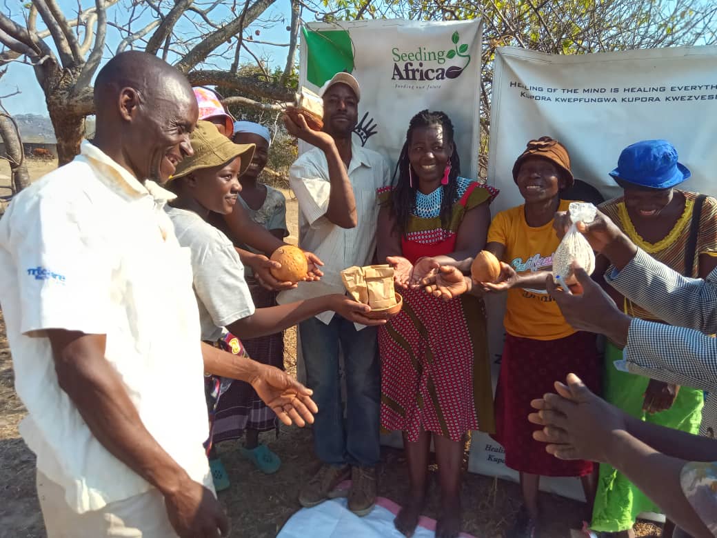 Seeding Africa Seed distribution