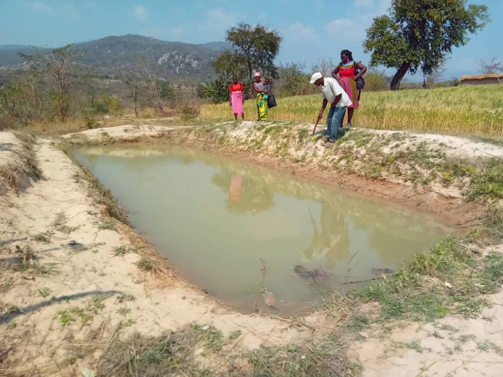 Zimbabwe Seeding Africa's local partner farmers designed a natural dam