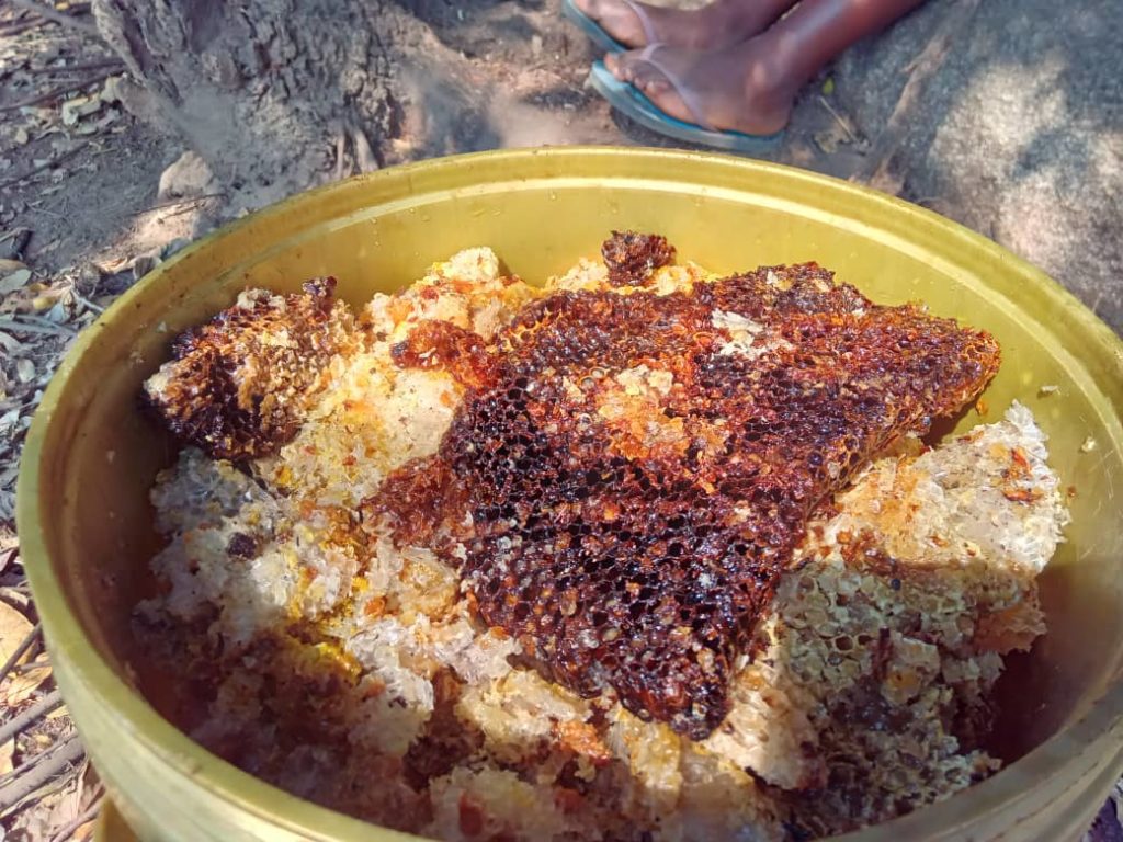 Honey produced